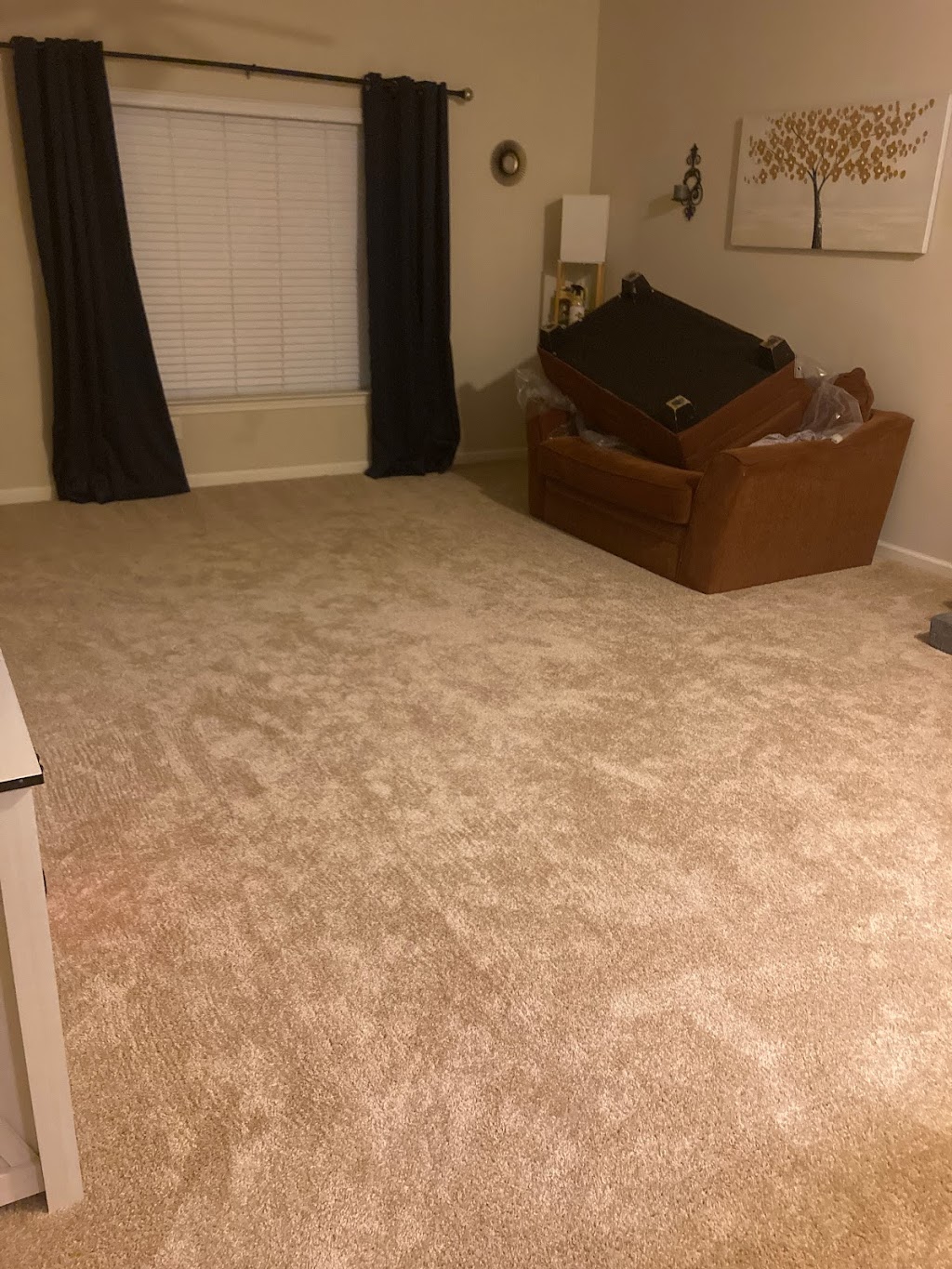 Eco Carpet Pro | 201 Penniman Rd, Williamsburg, VA 23185, USA | Phone: (757) 809-2228