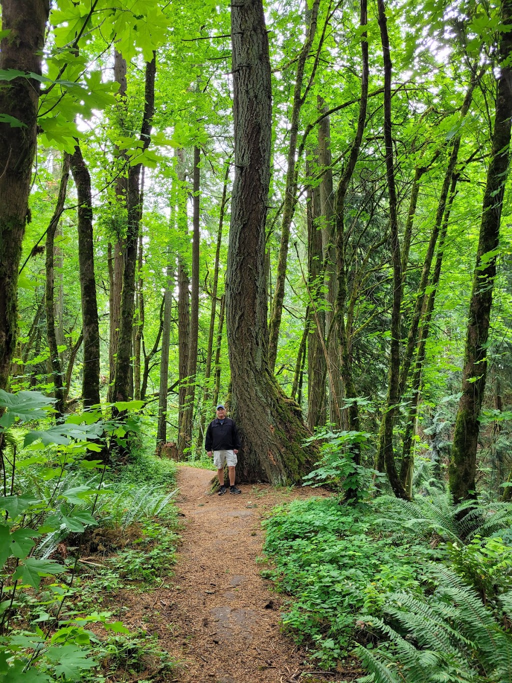 Graham Oaks Nature Park | 11825 SW Wilsonville Rd, Wilsonville, OR 97070, USA | Phone: (503) 665-4995