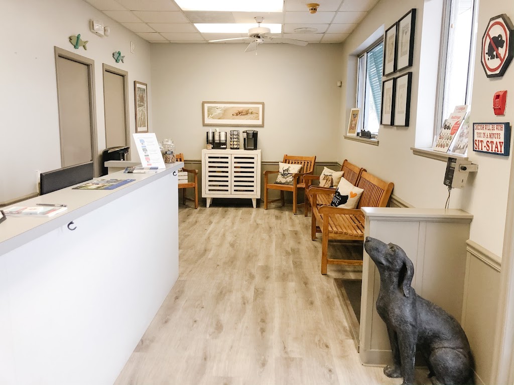 Island Animal Clinic | 5343 Gulf Dr # 900, Holmes Beach, FL 34217, USA | Phone: (941) 778-2445