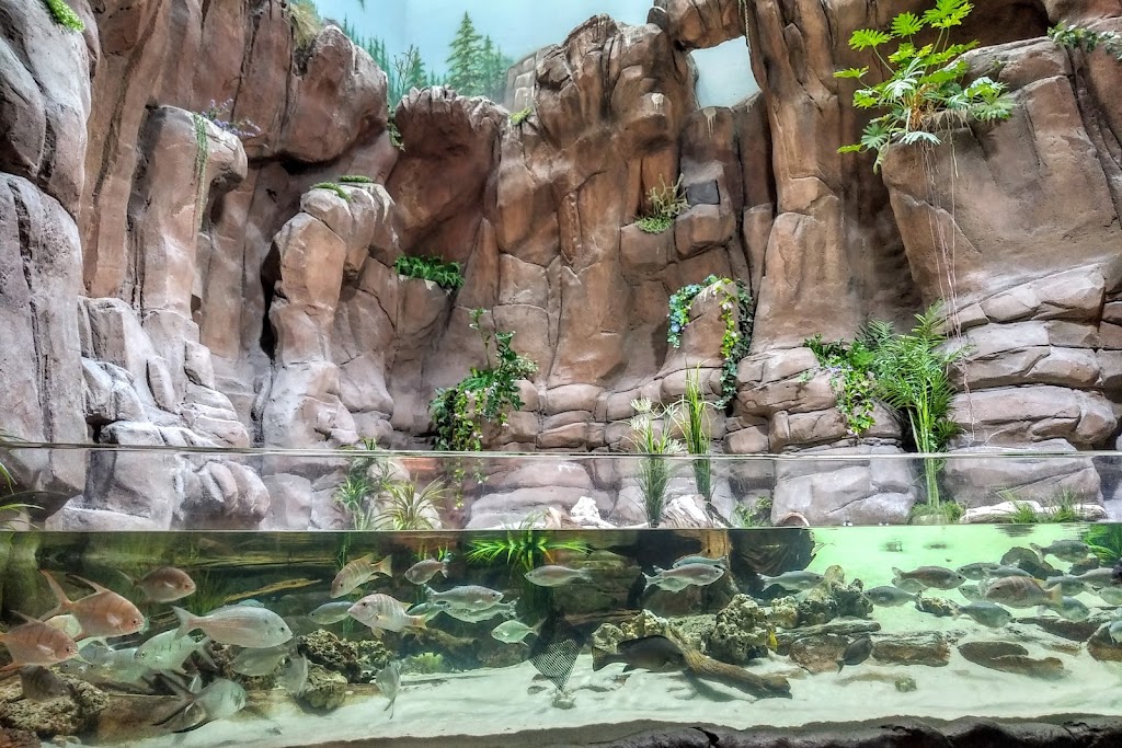 Downtown Aquarium | 700 Water St, Denver, CO 80211, USA | Phone: (303) 561-4450