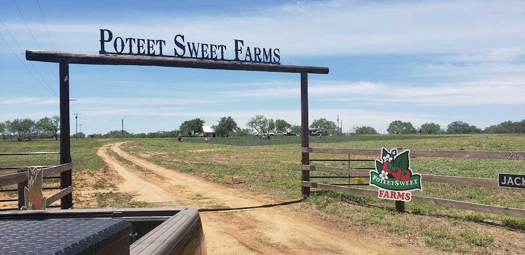 Poteet Sweet Farms | 2965 FM 2504, Poteet, TX 78065, USA | Phone: (210) 273-4301