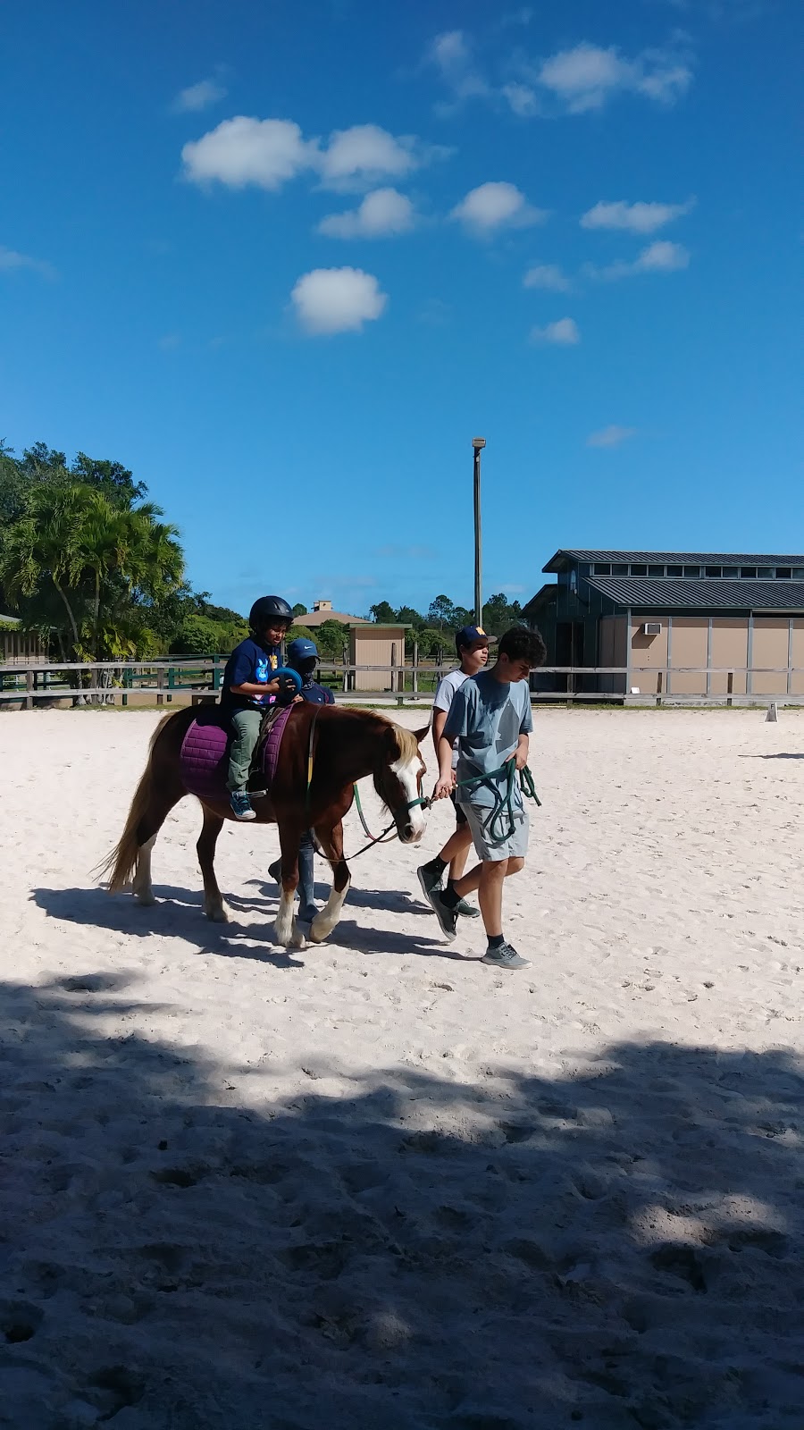 Good Hope Equestrian Training Center | 22155 SW 147th Ave, Miami, FL 33170, USA | Phone: (305) 297-4729