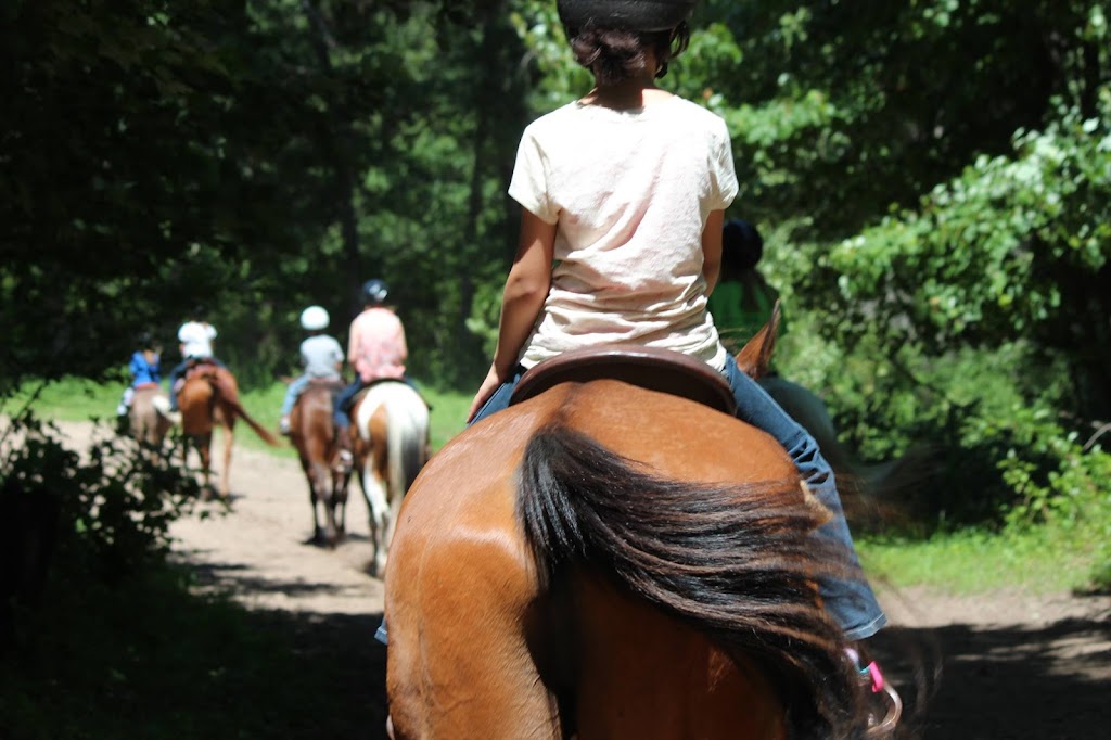 Bunker Park Stables | 13175 County Parkway D entrance At, 550 Bunker Lake Blvd NW, Andover, MN 55304, USA | Phone: (763) 757-9445