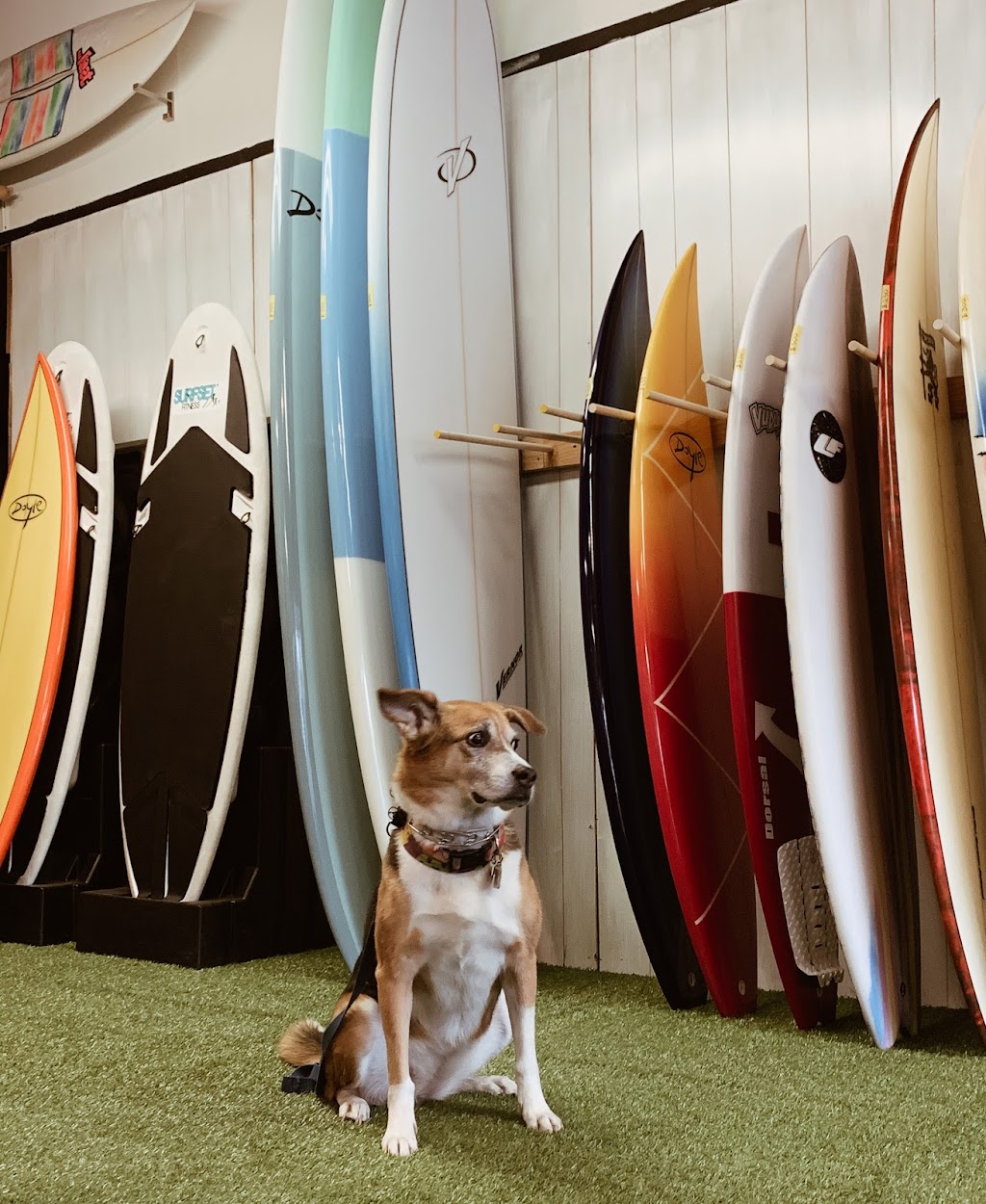 Live Simply Surf | 2170 Encinal Ave, Alameda, CA 94501, USA | Phone: (510) 934-6351