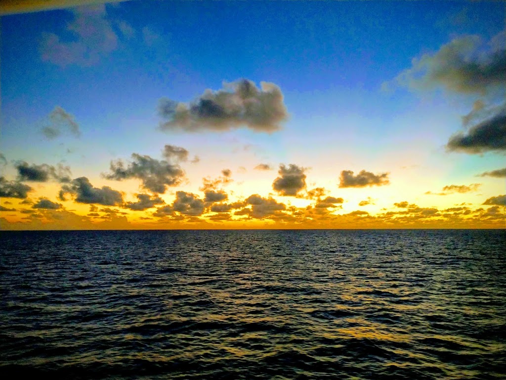 Port Everglades Terminal 4 | 1800 SE 20th St, Fort Lauderdale, FL 33316, USA | Phone: (954) 523-3404