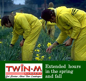 Twin M Nursery | Spencer County, 6061 Taylorsville Rd, Fisherville, KY 40023, USA | Phone: (502) 477-5228