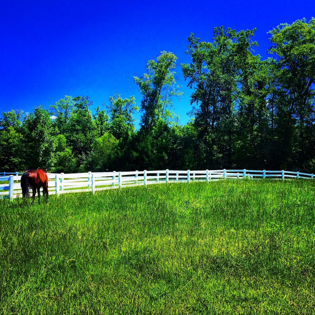 Clairmont Show Stables | 689 Old Deer Creek Rd, Sterrett, AL 35147, USA | Phone: (205) 243-2750