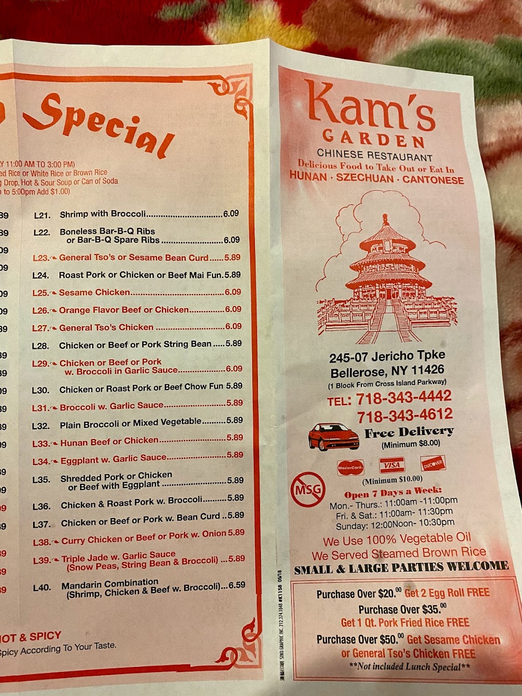 Kams Garden | 245-07 Jamaica Ave, Queens, NY 11426, USA | Phone: (718) 343-4442