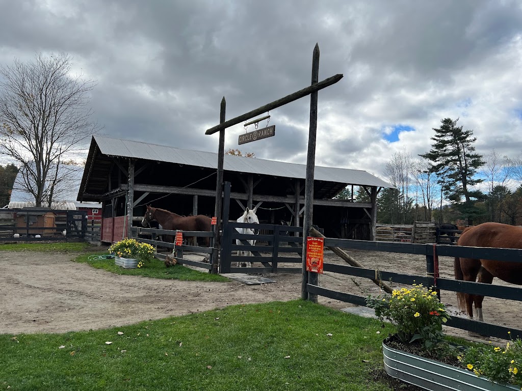 Circle B Ranch | 771 Potter Brook Rd, Chestertown, NY 12817, USA | Phone: (518) 494-4888