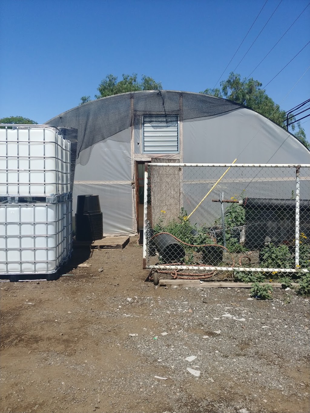 PVN GREENHOUSE | 21131 Ellis Ave, Perris, CA 92570, USA | Phone: (951) 591-4145