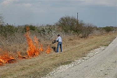 Welder Wildlife Foundation | 10429 Welder Wildlife, Sinton, TX 78387, USA | Phone: (361) 364-2643