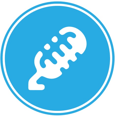 TR Music & Voice Lessons - Sunday