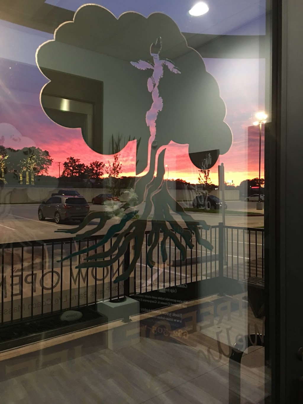 Tree of Life Wellness Center | 229 Shops Blvd Suite106, Willow Park, TX 76087 | Phone: (817) 757-7695