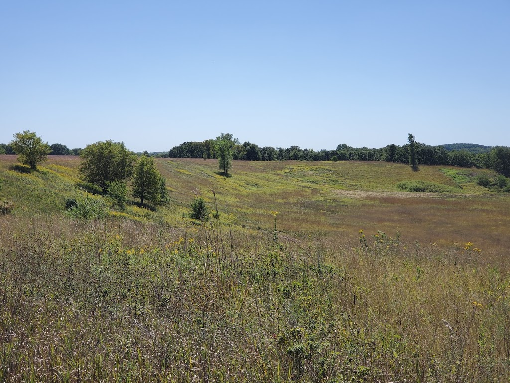 St. Croix Savanna Scientific and Natural Area (SNA) | Osprey Blvd, Bayport, MN 55003, USA | Phone: (651) 259-5800