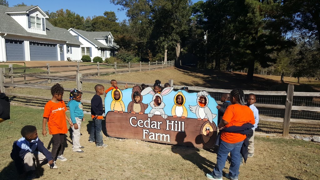 Cedar Hill Farm | 8 Love Rd, Hernando, MS 38632 | Phone: (662) 429-2540