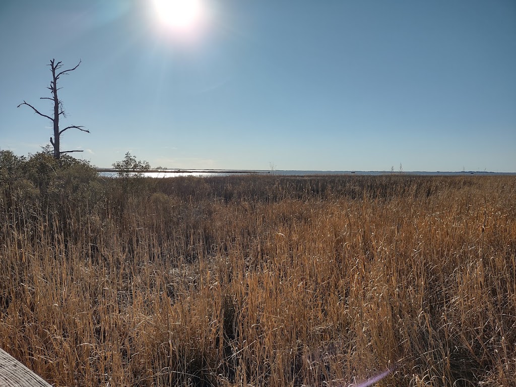 Currituck Banks Reserve | Corolla, NC 27927, USA | Phone: (252) 261-8891