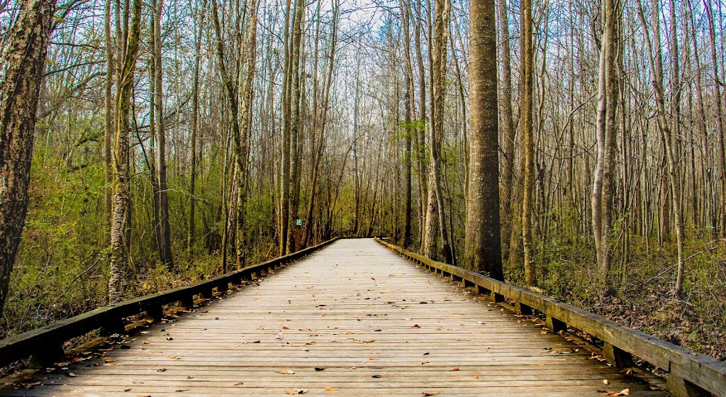 Williams Bridge Detox Information | Fort Mill, SC 29708, USA | Phone: (803) 454-9200