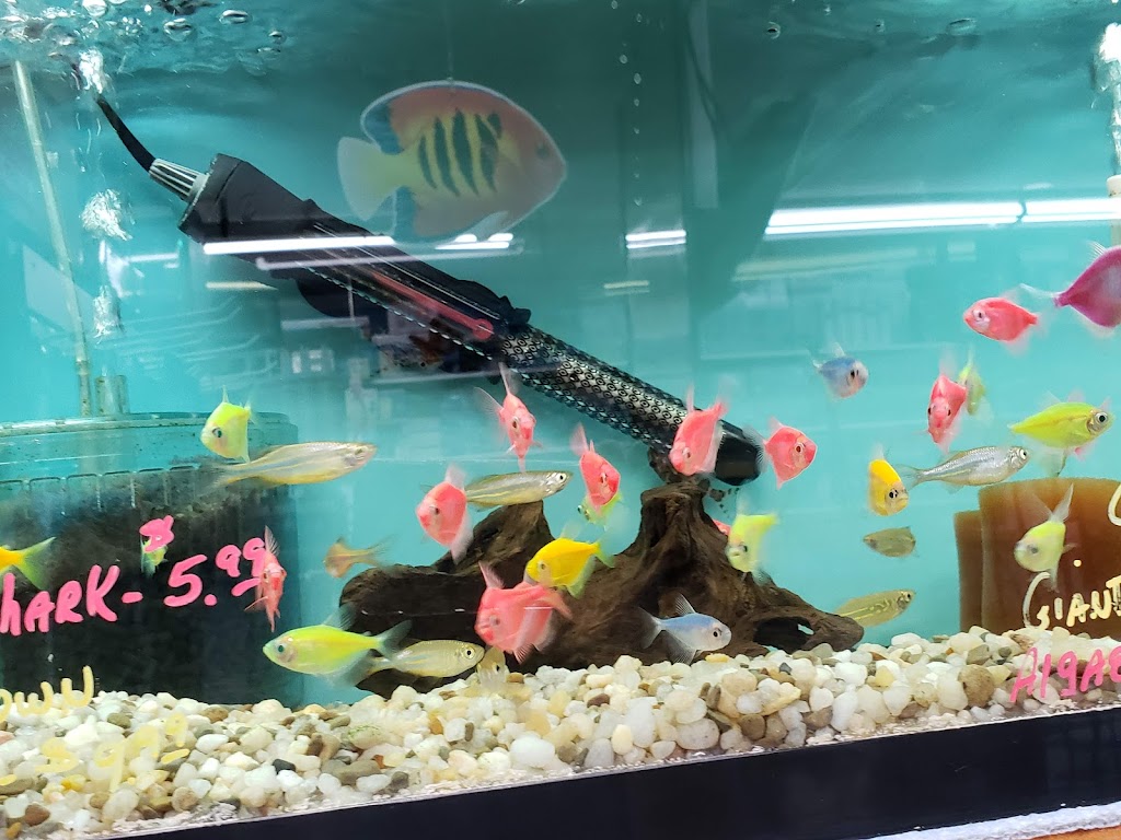 Aquariums By JJ | 55 Main St, Bloomingdale, NJ 07403, USA | Phone: (862) 666-9022