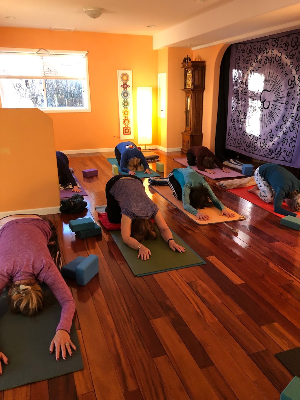 OmPowered Yoga | 720 Laurel Hill Ct, Loveland, CO 80537, USA | Phone: (970) 980-3406