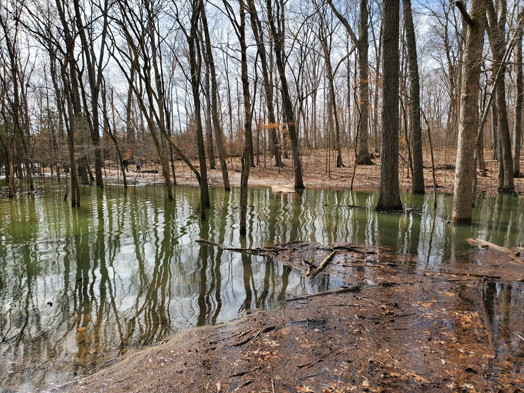 Volunteer Trail | Granny Wright Ln, Hermitage, TN 37076, USA | Phone: (615) 532-0001