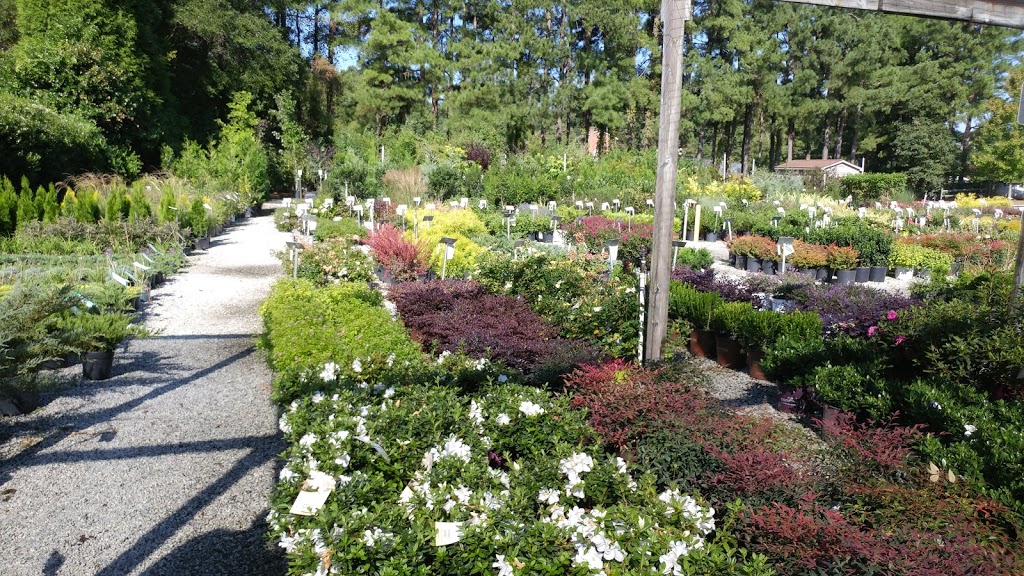 Gossetts Landscape Nursery | 7801 Clinard Farms Rd, High Point, NC 27265 | Phone: (336) 454-2548