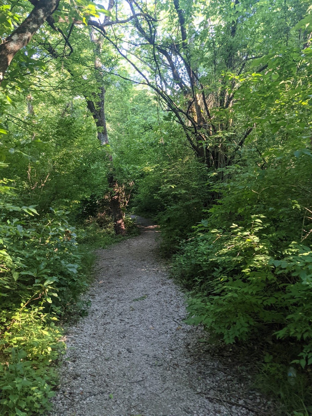 Shawnee Trace Nature Trail | Lees Summit, MO 64086 | Phone: (816) 622-0900