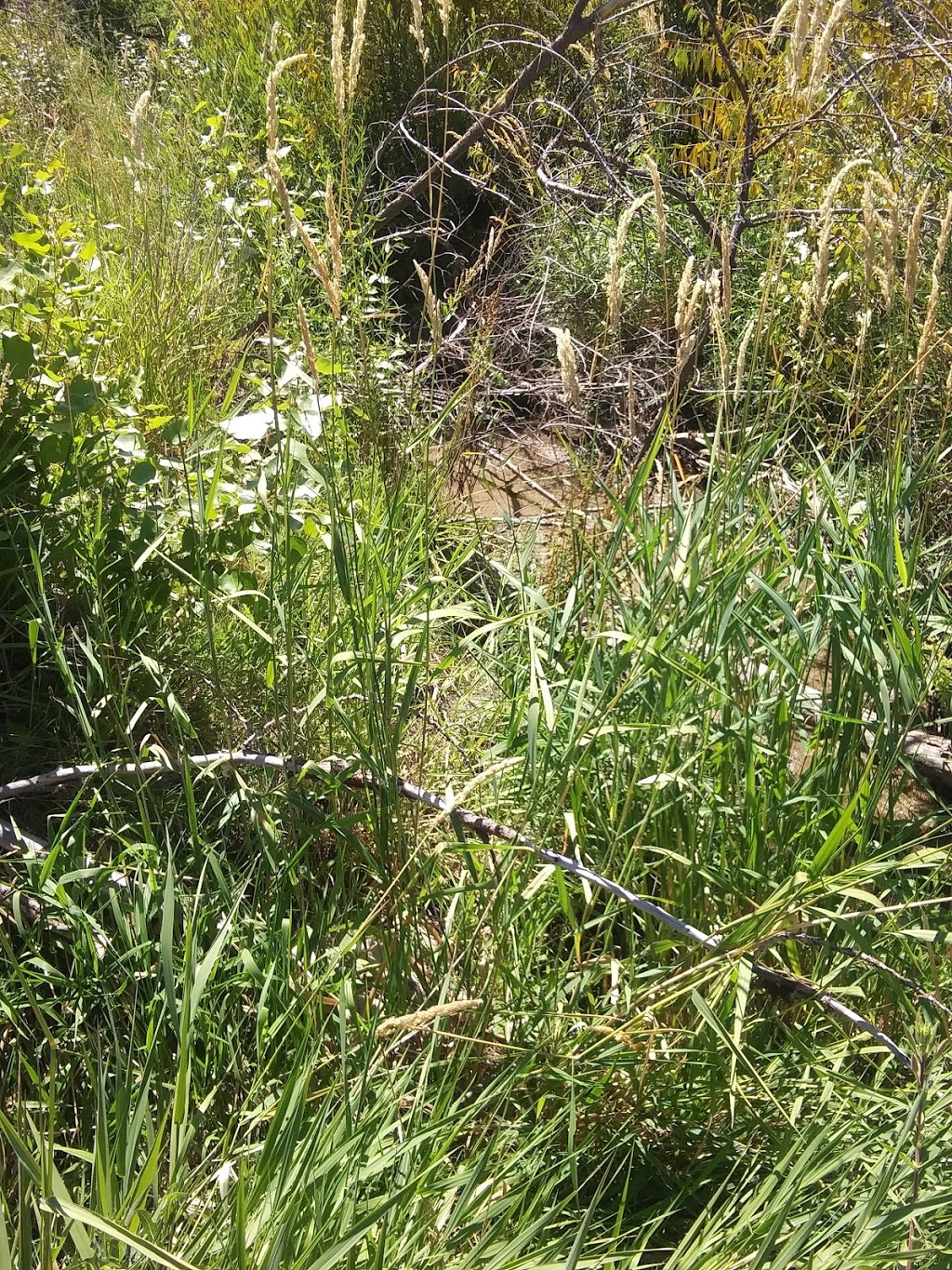 Dry Creek Ranch Subdivision | 9145 W Suttle Lake Dr, Boise, ID 83714, USA | Phone: (208) 608-2702