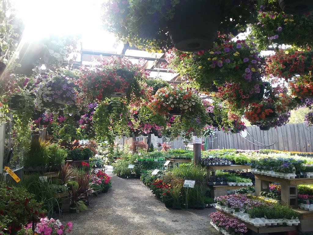 Breezewood Gardens & Gifts | 17600 Chillicothe Rd, Chagrin Falls, OH 44023, USA | Phone: (440) 543-2124