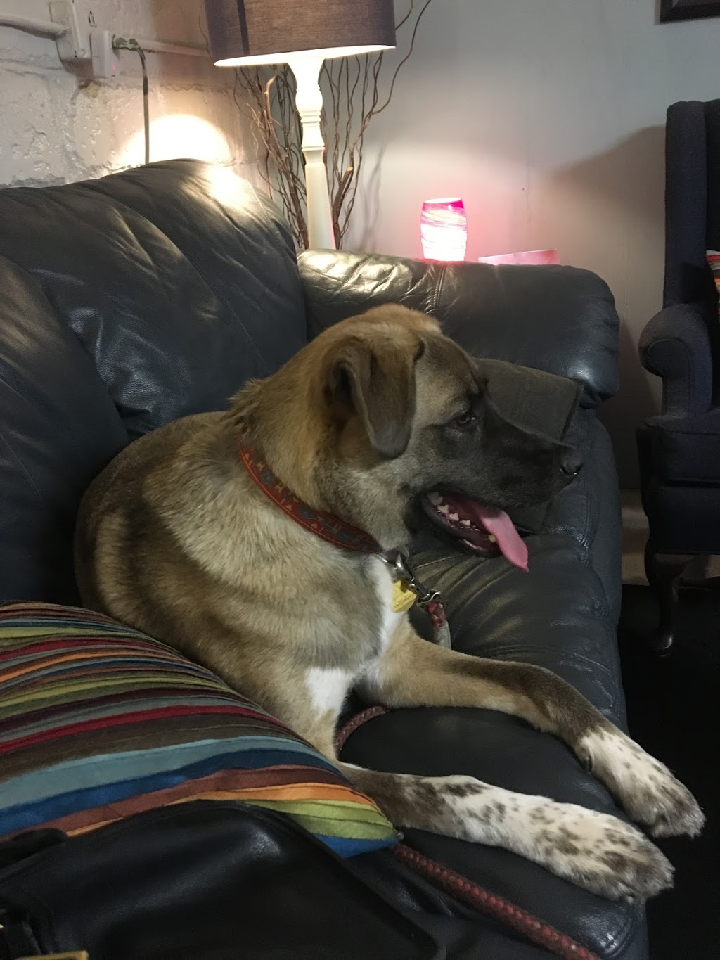 Marks Automotive Service | 6002 Morrow Rd, Nashville, TN 37209, USA | Phone: (615) 385-7940