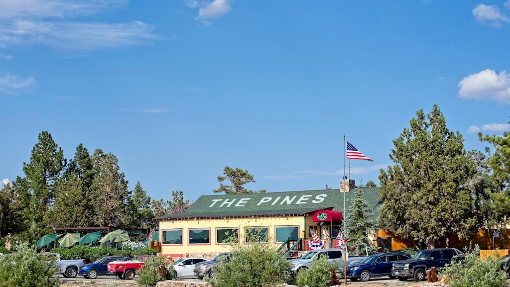 The Pines Lakefront | 350 Alden Rd, Big Bear Lake, CA 92315 | Phone: (909) 866-5400