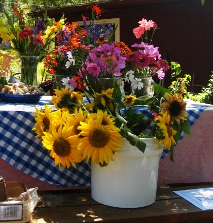 Meadow Vista Flower & Berry Farm | 715 Cole Rd, Meadow Vista, CA 95722, USA | Phone: (530) 269-9786