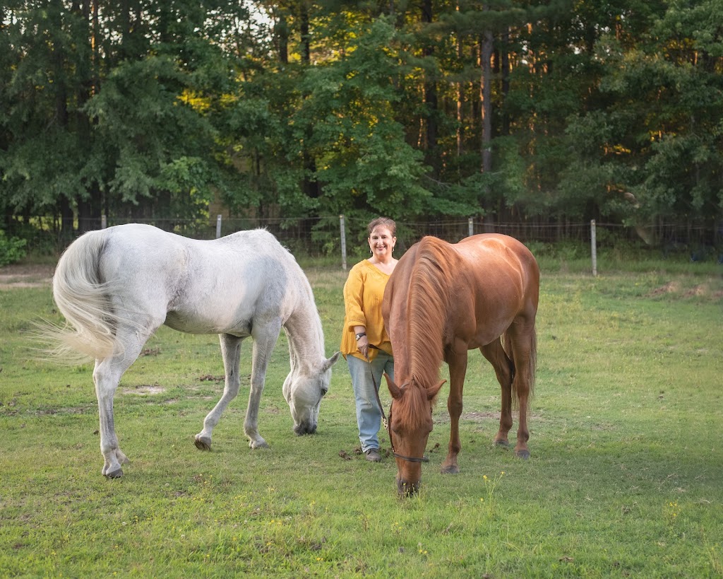 All For Cobalt In Home Pet Care | 4006 West Ct, Chesterfield, VA 23832, USA | Phone: (804) 638-8239