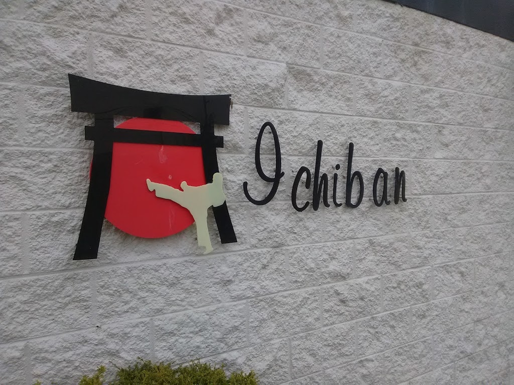 Ichiban Karate School | 2987 N Bend Rd, Hebron, KY 41048, USA | Phone: (859) 801-0497