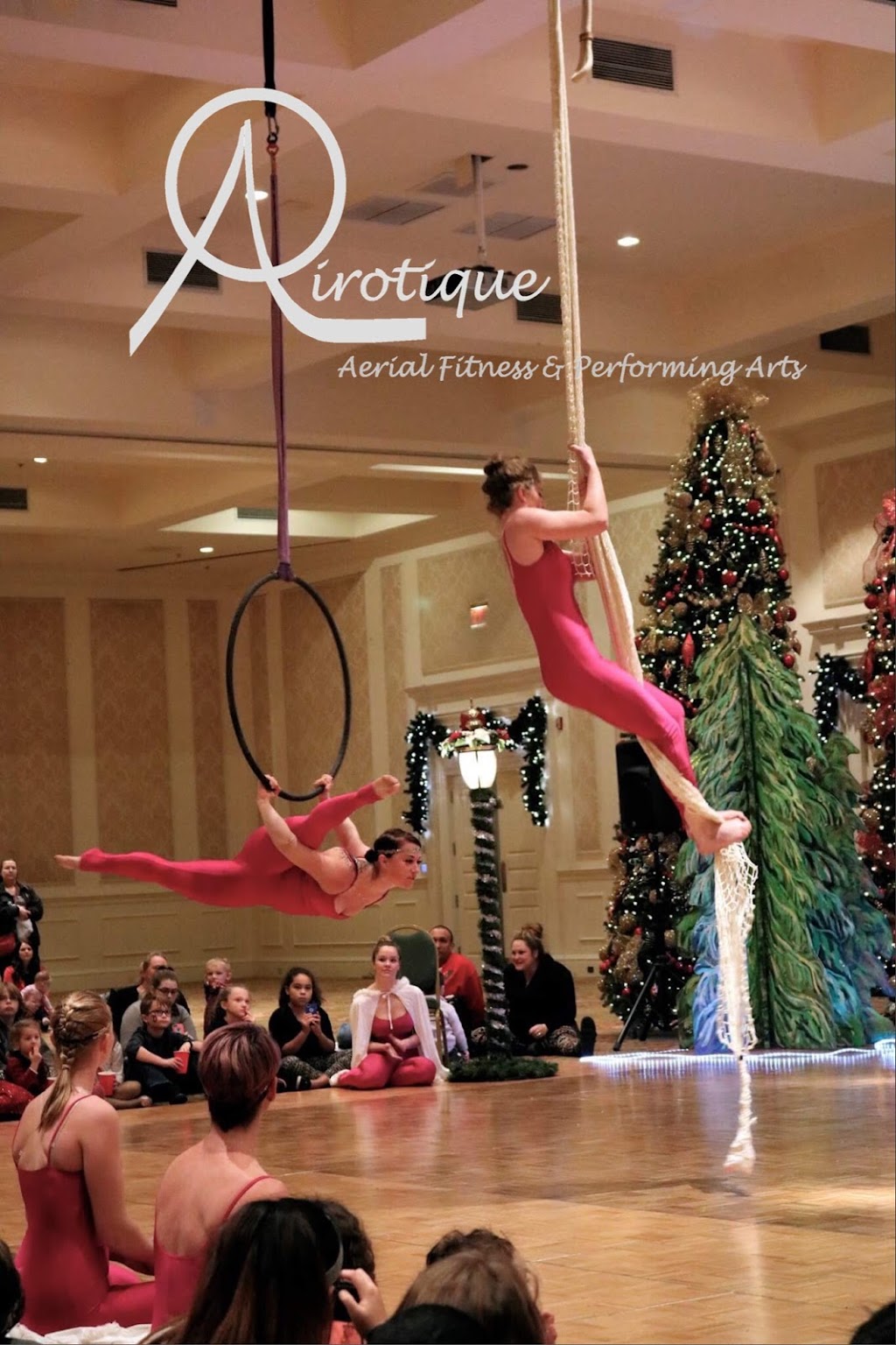 Airotique Aerial Arts | 3440 Chandler Creek Rd #105, Virginia Beach, VA 23453, USA | Phone: (757) 468-7455