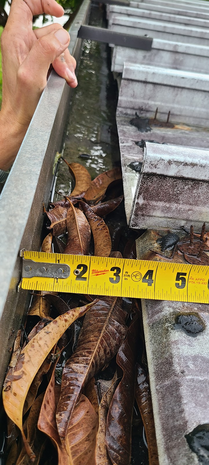 Kingdom Hall of Jehovah’s Witnesses | 1187 Ohio Ave, Dunedin, FL 34698, USA | Phone: (727) 734-0598