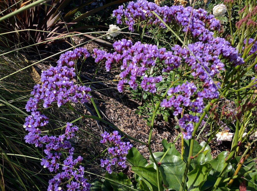 Advantage Tennis Academy - Sunday