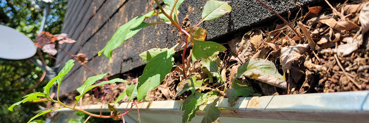 ARD Cleaning Services LLC | 2025 Magna Lane, Indian Trail, NC 28079, USA | Phone: (704) 776-4302