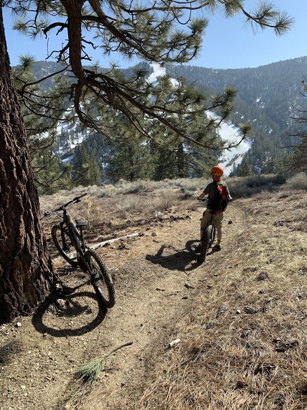 Wrightwood eBikes | 6025 Park Dr, Wrightwood, CA 92397, USA | Phone: (661) 400-7882