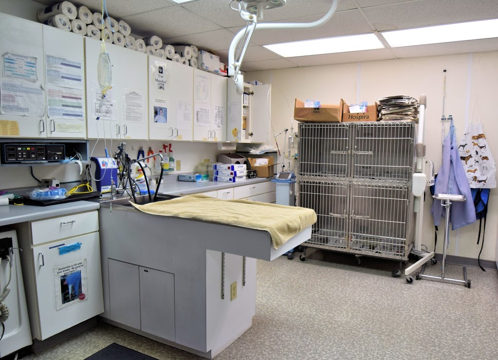 Animal Medical Clinic | 234 Snelling Ave S, St Paul, MN 55105, USA | Phone: (651) 690-1564