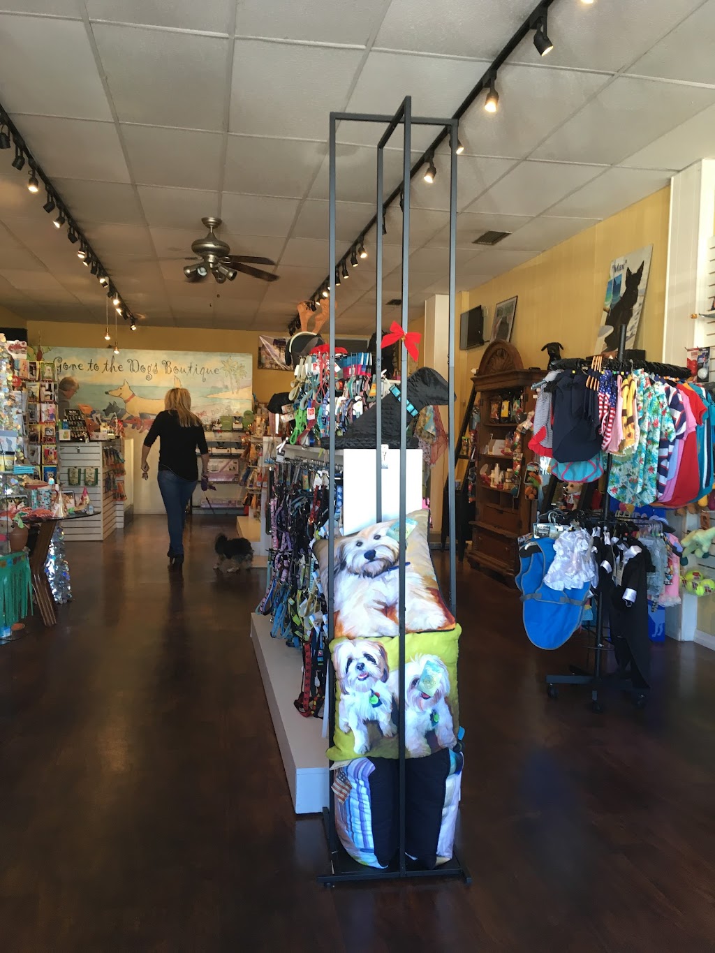 Gone To the Dogs Boutique | 310 Corey Ave, St Pete Beach, FL 33706, USA | Phone: (727) 363-3200