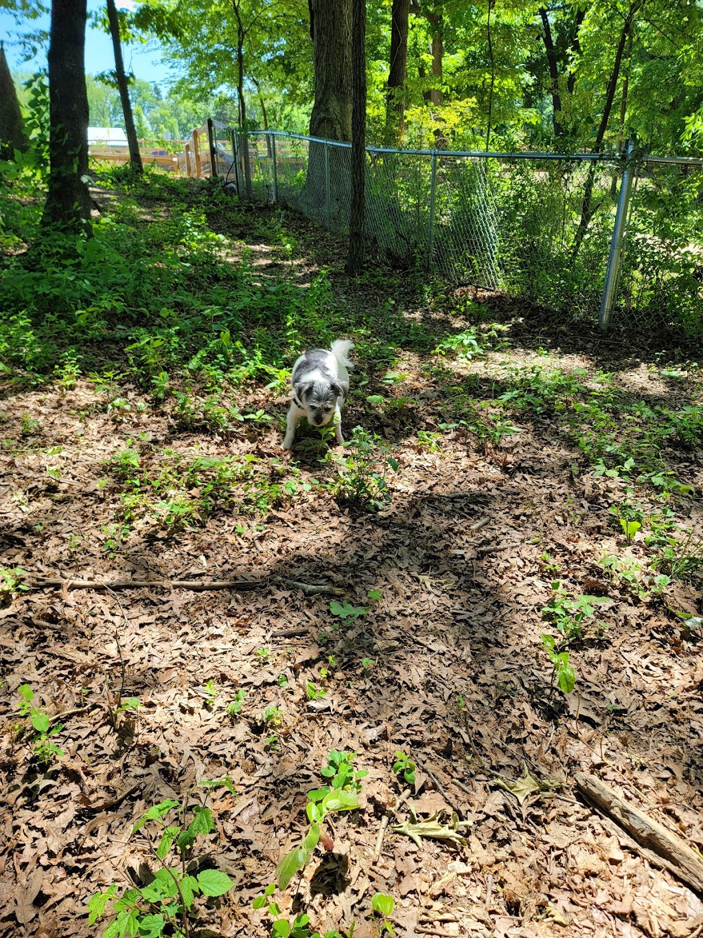 Dog Park at Clarks Creek Community Park | Charlotte, NC 28269, USA | Phone: (980) 314-1001
