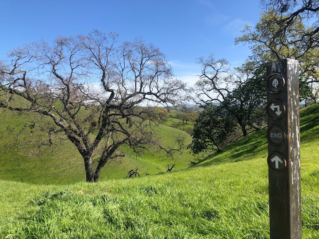 Sycamore Valley Open Space Preserve | 1904 Camino Tassajara, Danville, CA 94526, USA | Phone: (888) 327-2757