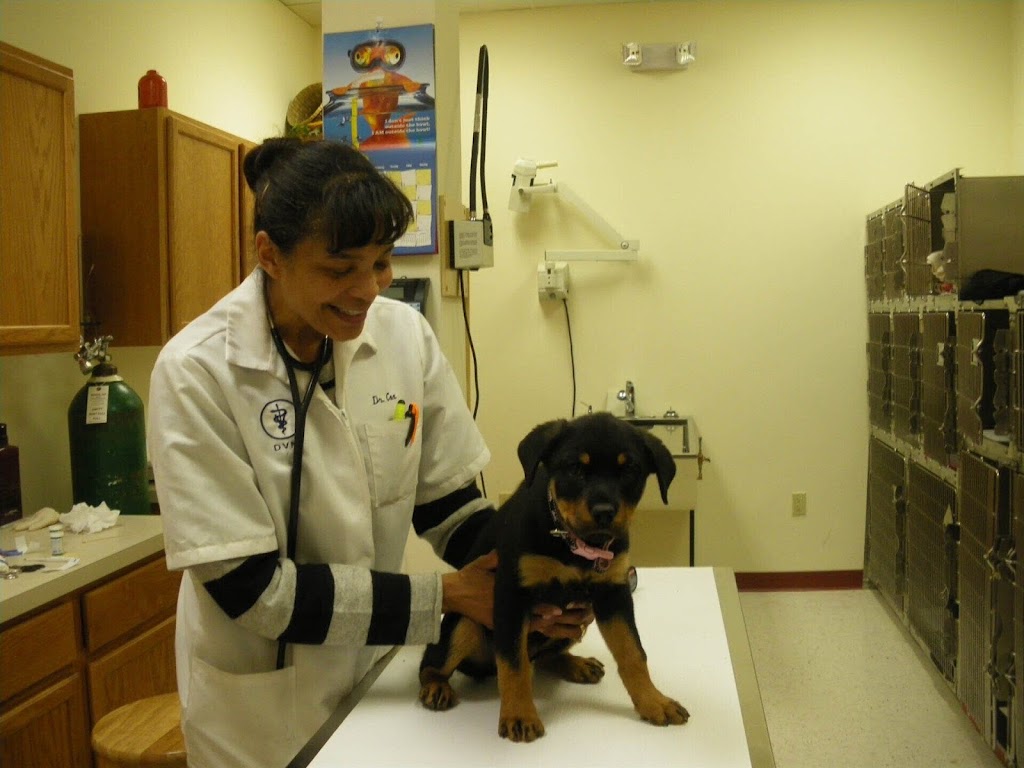 Alpha Veterinary Center | 7699 Quarterfield Rd, Glen Burnie, MD 21061, USA | Phone: (410) 766-7387