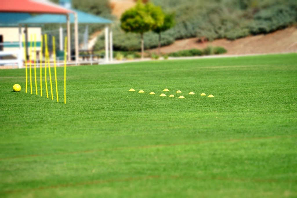 Team Lion United Private Soccer Lessons | Via, Murrieta, CA 92562, USA | Phone: (808) 271-2993