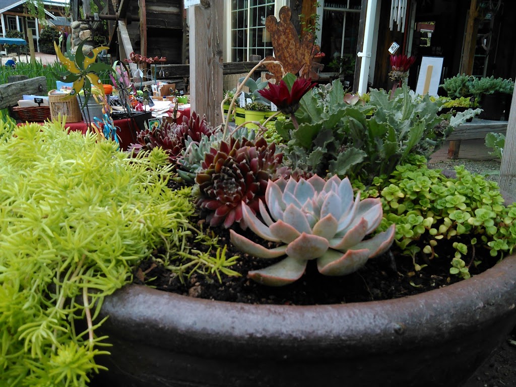 The Flower Farm Nursery and Gift Shop | 9280 Horseshoe Bar Rd, Loomis, CA 95650, USA | Phone: (916) 660-5537