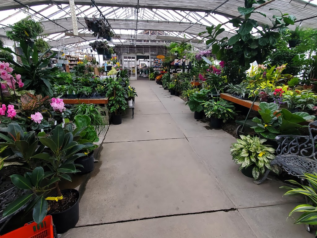 Boyerts Greenhouse & Farm | 7171 Wooster Pike, Medina, OH 44256, USA | Phone: (330) 725-3509