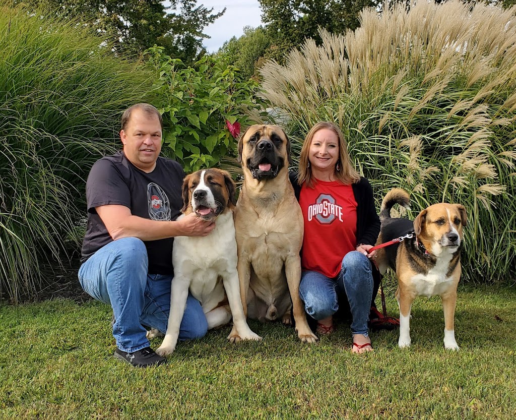 Big Dawgs Axe Junkies, Axe Throwing | next to Dollar General, 331 N Lake St, Madison, OH 44057, USA | Phone: (440) 855-7920