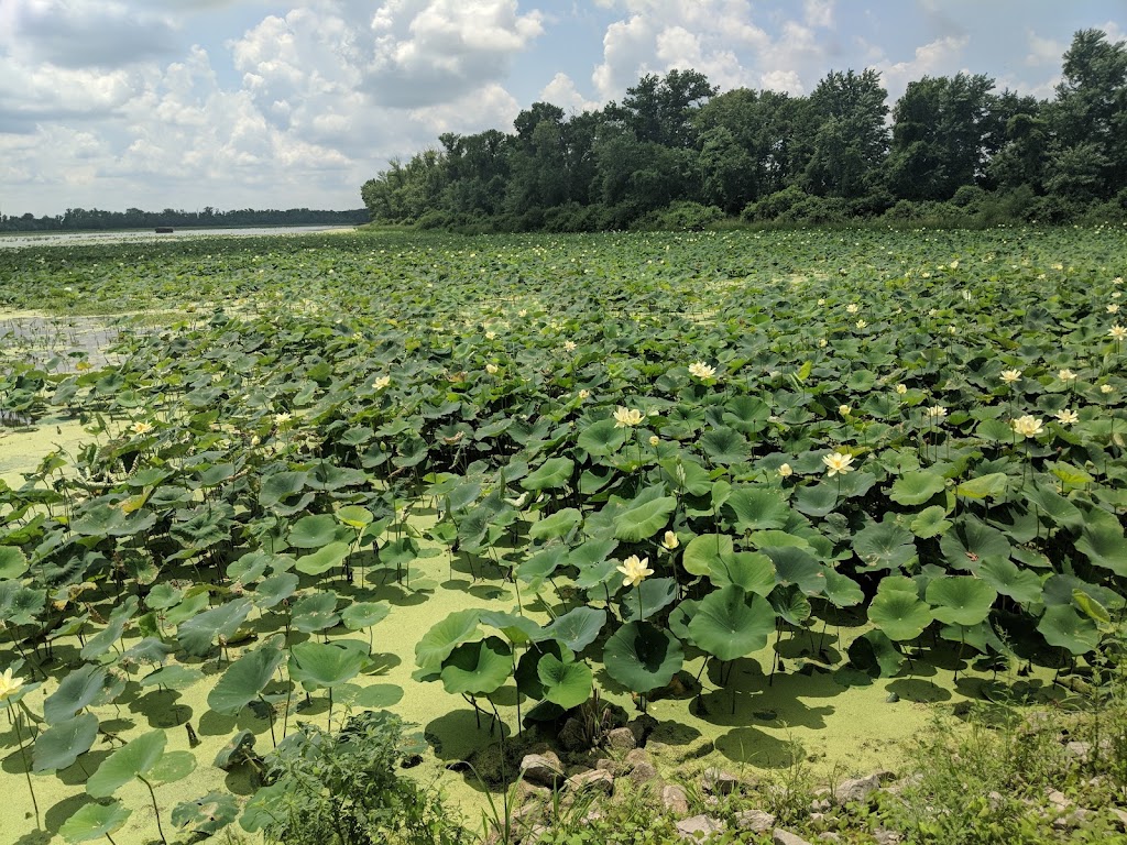 Horseshoe Lake State Park | Horseshoe Lake State Park Trail, Pontoon Beach, IL 62040, USA | Phone: (618) 931-0270