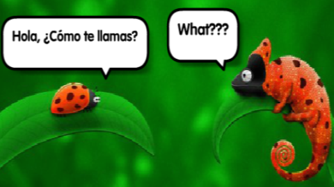 SpanishNewYork.com | 304 W 30th St #1, New York, NY 10001, USA | Phone: (646) 801-3718