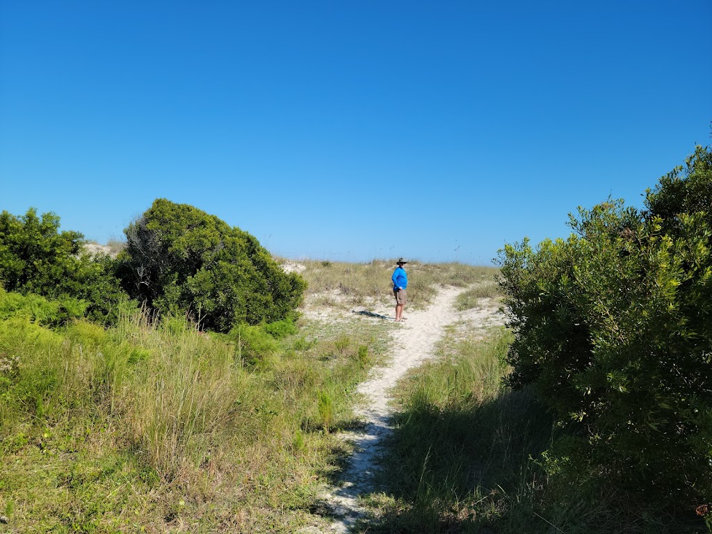 Stafford Beach Campground | Cumberland Island, St Marys, GA 31558, USA | Phone: (218) 820-0362